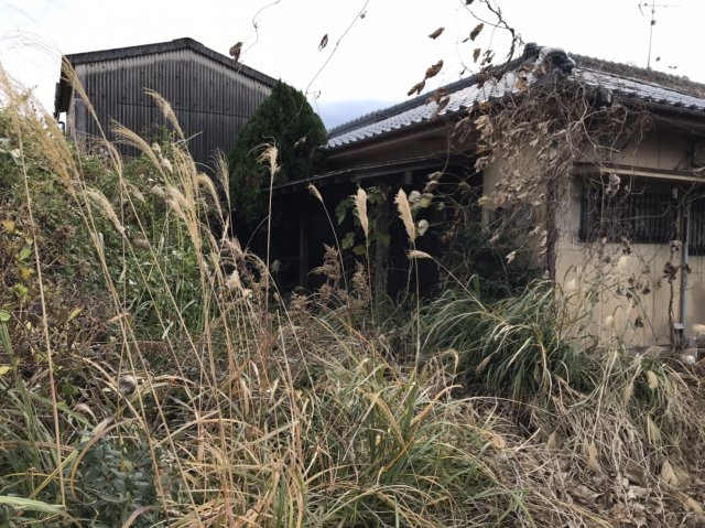 外観：346000037804