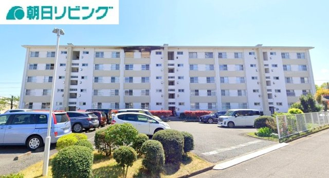 外観：313004401355