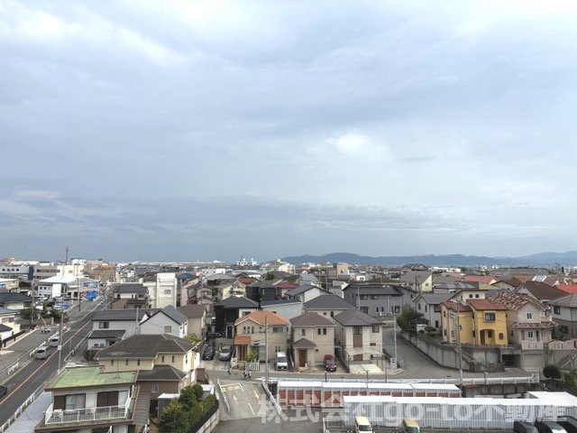 展望