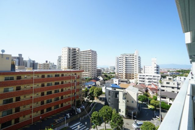 展望