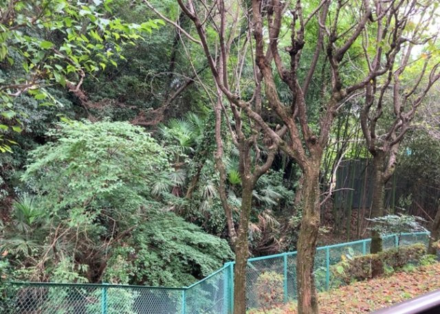 眺望の良さを楽しめるダイニングキッチンで家族団らんの時間を過ごしてはいかがでしょうか。バルコニーから見える景色を家族で眺める時間は、時間が経つのを忘れてしまいそうですね。是非、現地を見に行きましょう！