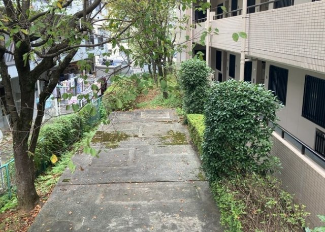 中庭（パティオ）とは、一つの建築物の内部に設けられた、壁などで囲われている庭のことを指します。コの字型、ロの字型が主流ですが、L字型の中庭もあります。最近では、インテリア性の高さからも人気があります。