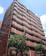 外観：313004366055