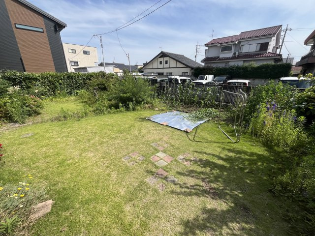 庭