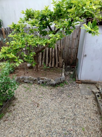 四季を通じて鮮やかな彩りが楽しめます♪