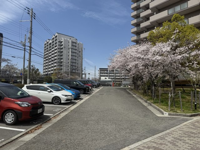 桜が迎える駐車場。日常に季節の景色が溶け込む住まい
