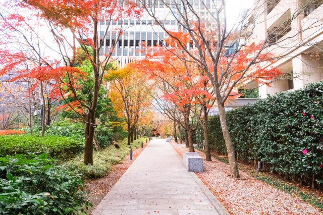 【周辺】マンション周辺です。きれいに整備・管理された植栽で、四季を感じて頂けます。