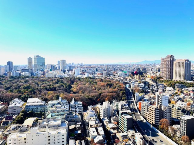展望
