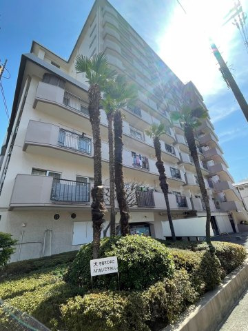 外観：327002228528