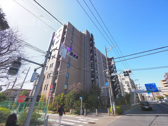 外観：313004653519