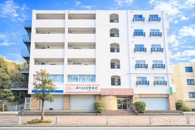 外観：314002683999