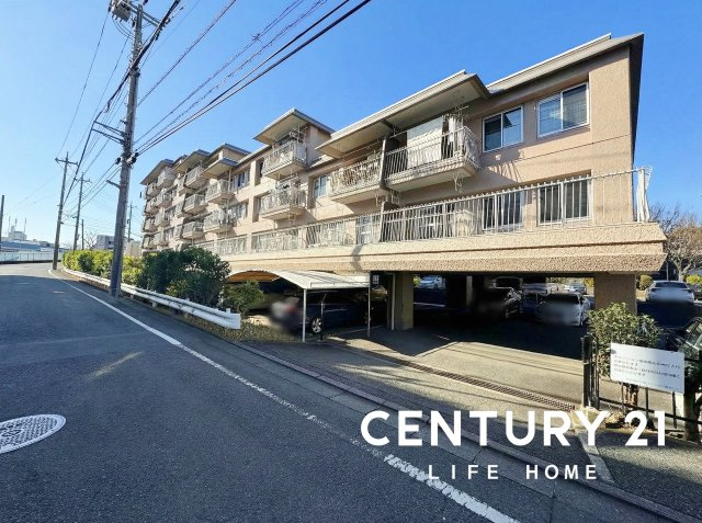 外観：314002716303