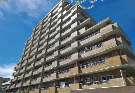 外観：343000090566