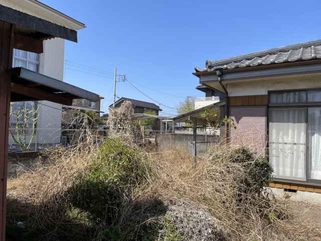 庭
