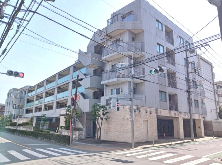 外観：313004668726