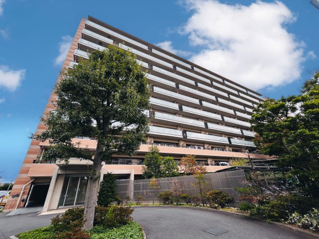 外観：311002330584