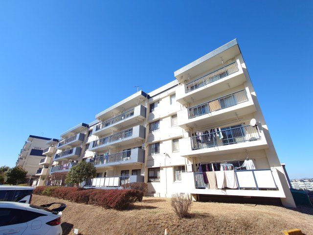 外観：314002542118