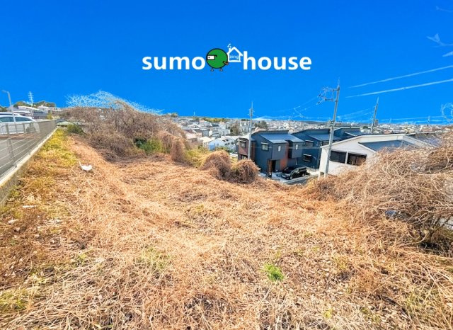 前面道路含む現地写真です