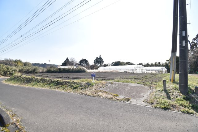 外観：346000037613