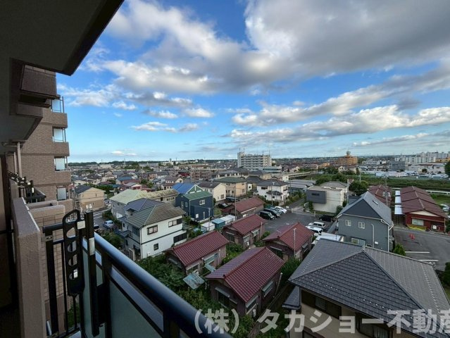展望