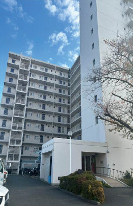 外観：313004648651