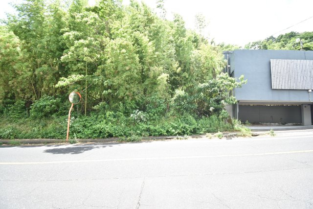 外観：346000031769