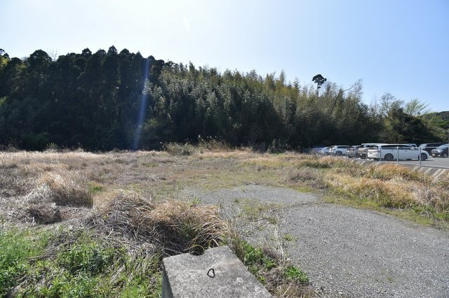 外観：346000041919