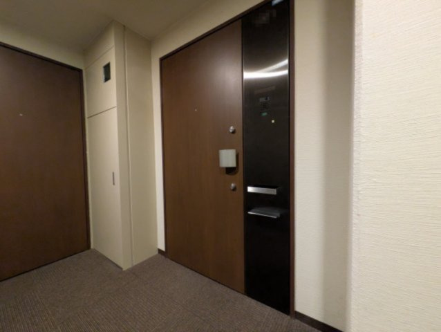 共用の住戸玄関は表札・インターホンなどがパネル一体になっており、まさにホテルドアのような仕上げになっています！