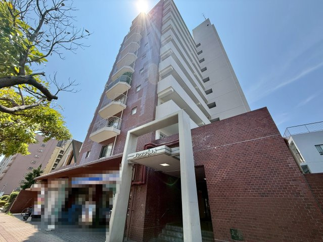 外観：334000239808