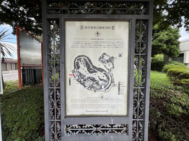 周辺には桜が名所の「根岸森林公園」があります。