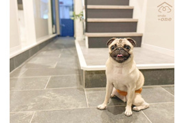  ondo one鶴見・緑2丁目 モデルハウス の外観