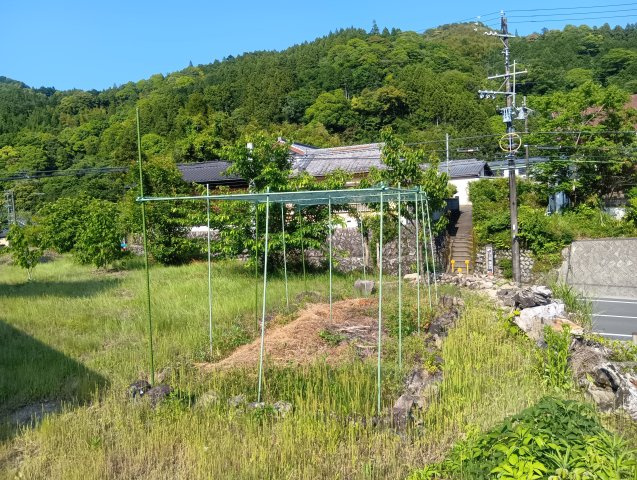 庭は畑やドッグラン等、好きな様に使えます！