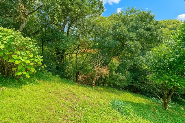 外観：340000269261