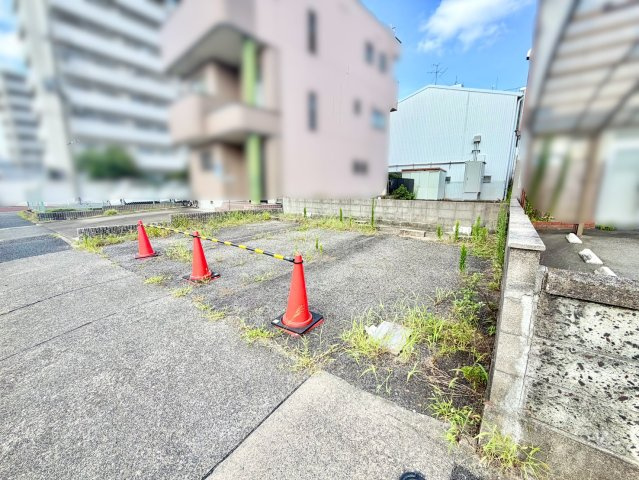 現地写真