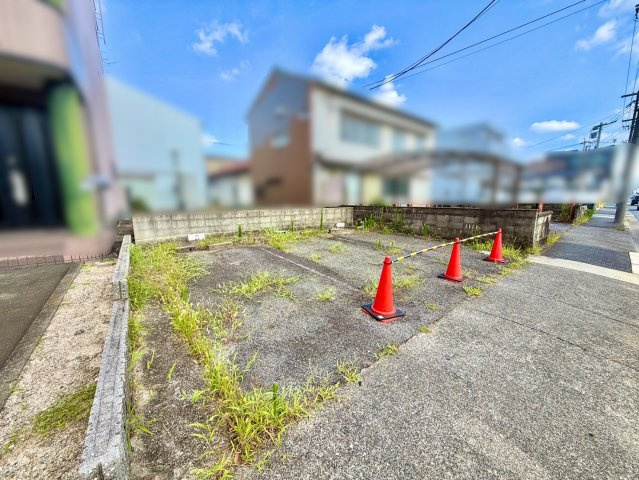 現地写真