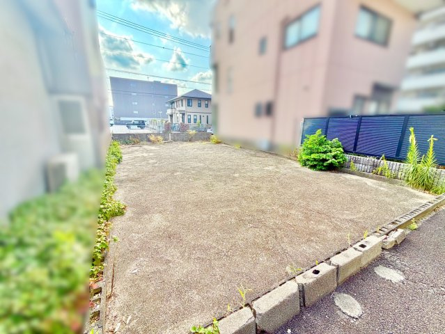 現地写真
