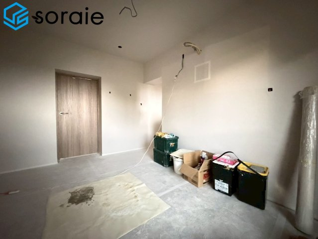 2026/6/12　撮影