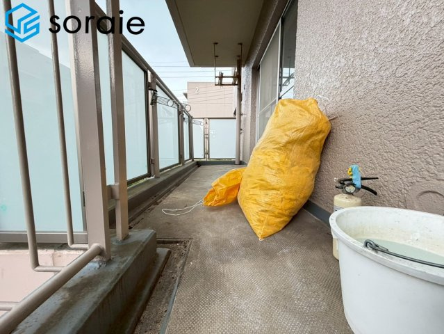 2026/6/12　撮影