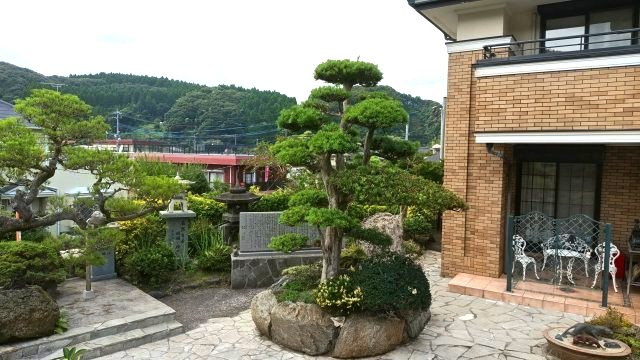 庭