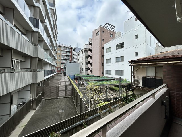 展望