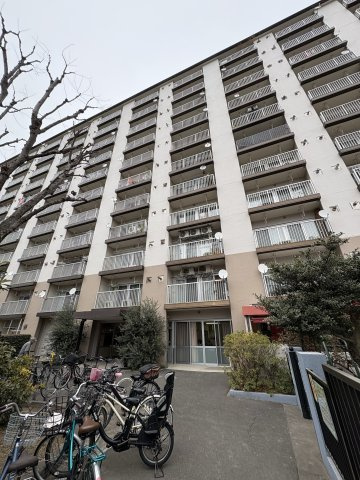 外観：313004751381