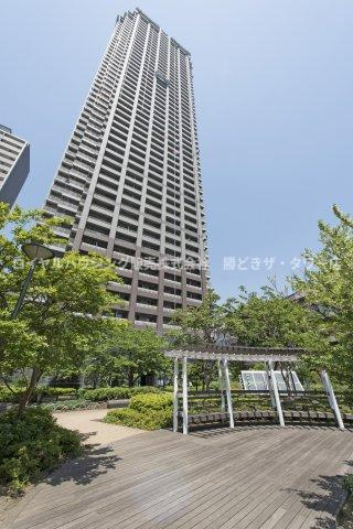 外観：313004728237