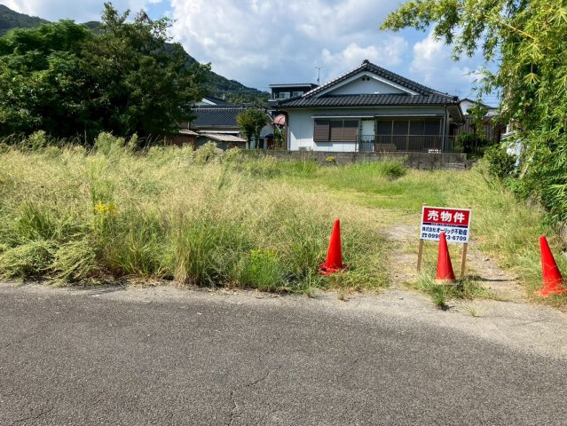 外観：346000036411