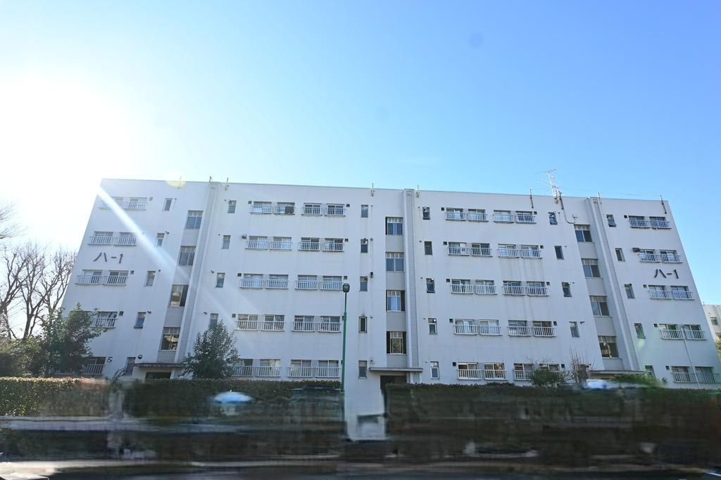 外観：313004670210