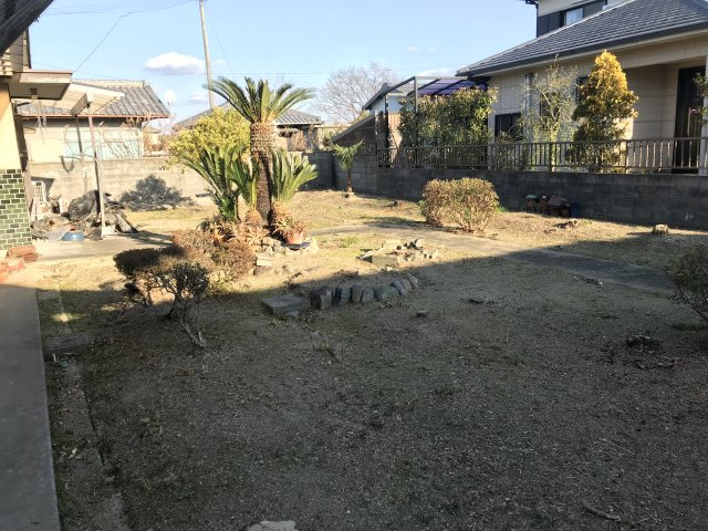 庭