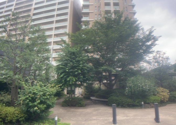 外観：314002784319