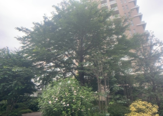 ＲＣ造、Reinforced　Concreteは直訳すると補強されたコンクリートです。主に柱や梁・床・壁が鉄筋とコンクリートで構成おり、鉄筋を組んだ型枠にコンクリートを流し込んで固めたものを指します。