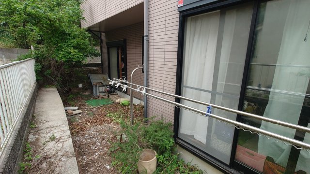 庭