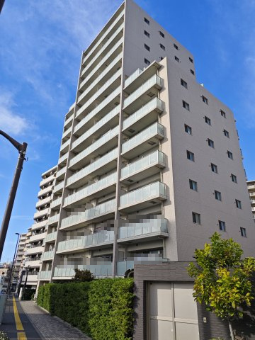 外観：313004748409