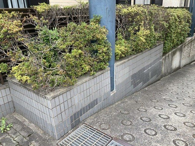 物件によっては、入居者が個人的に使用できる専用庭がついているものもあります。また、住宅の中にある土間の部分を庭と呼ぶこともあります。庭の用途は住む人によって変わり、それによってデザインもさまざまです。